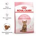 Сухий корм ROYAL CANIN KITTEN STERIL 2kg + вологий корм KITTEN STERILIZ IN GRAVY 12 паучів + іграшка Cat Play Circuit у подарунок  - фото 2