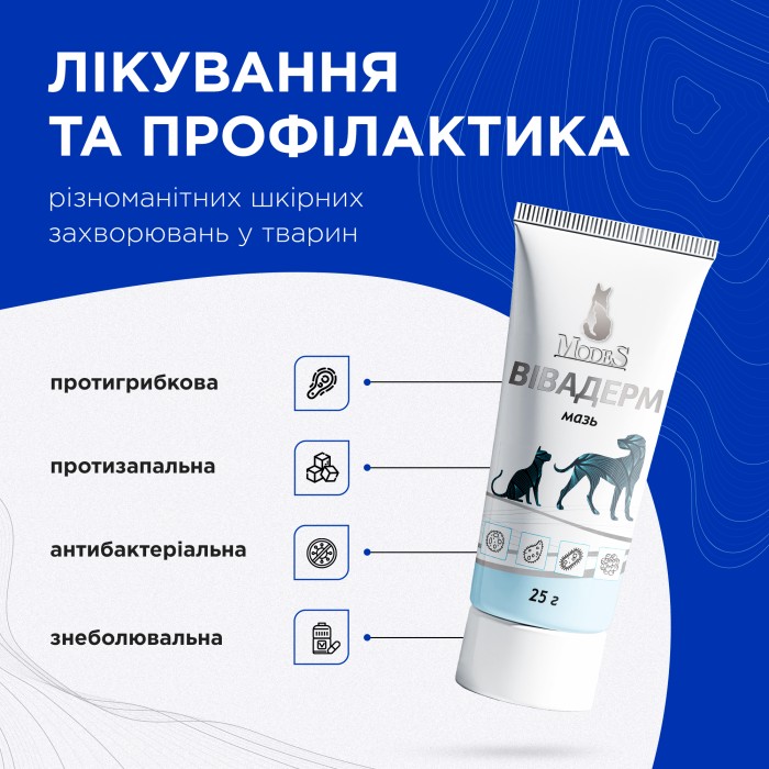 Вівадерм мазь 25 г, MODES