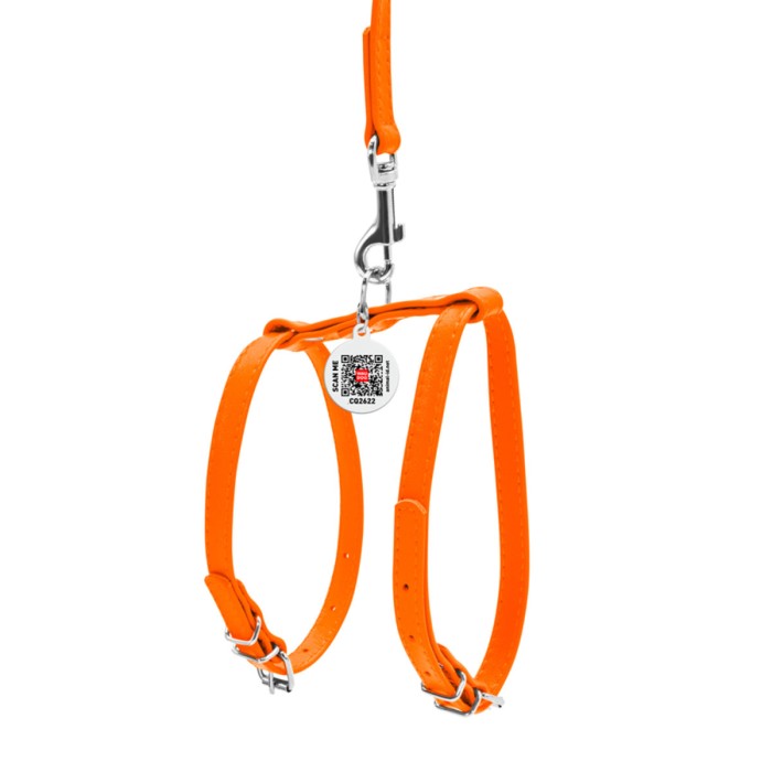 Шлея Collar "WAUDOG GLAMOUR" з повідцем для кішок, дрібних собак, Ш 12мм, помаранчевий