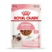 Перший набір для кошенят ROYAL CANIN MAINECOON KITTEN 0.4 кг + вологий корм 0.085 кг   - фото 2