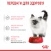 Влажный корм для котят Royal Canin KITTEN INSTINCTIVE, 1.06 кг, 8 пауча + 4 паучья в подарок  - фото 2