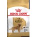 ***Royal Canin GOLDEN RETRIEVER ADULT - 12кг  (термін придатності 10.2026)