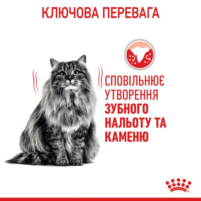 Royal Canin Dental CARE - 1,2кг + 300 г в подарунок