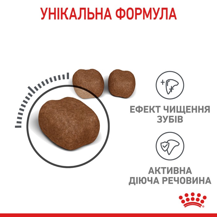 Royal Canin Dental CARE - 1,2кг + 300 г в подарунок