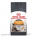 Акція Сухий корм для котів Royal Canin HAIR&SKIN 4 кг + Наповнювач для туалетів Catsan 5 л  - фото 3