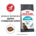 Сухий корм ROYAL CANIN URINARY CARE 2kg + вологий корм URINARY CARE  12 паучів + іграшка Cat Play Circuit у подарунок  - фото 2