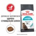Акция Корм для кошек ROYAL CANIN URINARY CARE 8 кг + 2 кг  - фото 10