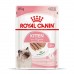 Первый набор для котят ROYAL CANIN KITTEN 0.4 кг + влажный корм 0.085 кг  - фото 2