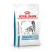 Royal canin SKIN CARE DOG 2 kg