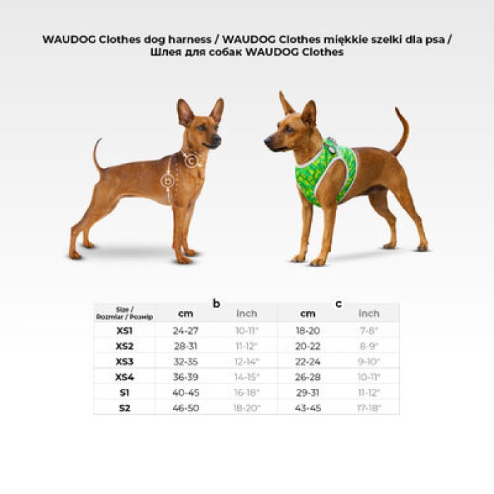 Шлея для собак мягкая WAUDOG Clothes з QR-паспортом, рисунок "NASA21", XS1 B 24-27 см, C 18-20 см