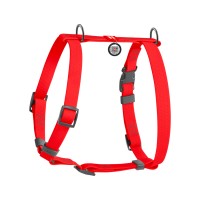 Шлея для собак Н-образный WAUDOG Waterproof с QR-паспортом, пряжка-фастекс, S, Ш 15 мм, А 28-42 см, В 34-51 см, красный
