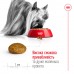 Сухой корм Royal canin XSMALL ADULT 1,5 кг + веревочный мяч в подарок  - фото 4