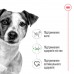 Сухой корм Royal canin MINI ADULT 3.2 кг + 800 г в подарок  - фото 2