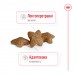 Сухой корм Royal canin MINI ADULT 3.2 кг + 800 г в подарок  - фото 3