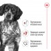 Сухой корм Royal canin MEDIUM ADULT 3.2 кг. + 800 г в подарок.  - фото 2