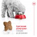 Сухой корм ROYAL CANIN MINI ADULT для взрослых собак малых пород, 4 кг + миска для медленного питания в подарок  - фото 4