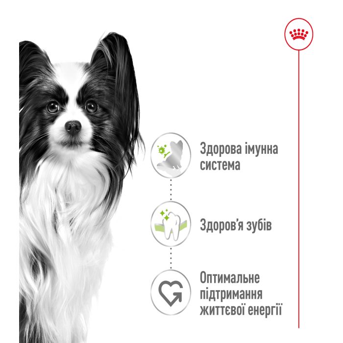 Сухой корм Royal Canin XSMALL Adult, 1,5кг + 500 г в подарок