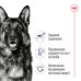 Сухой корм Royal canin MAXI ADULT 3.2 кг + 800 г в подарок  - фото 2