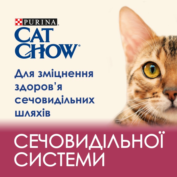 Cat Chow Urinary tract health здоровья мочевыделительной системы 15 кг*