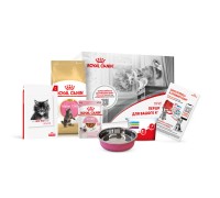 Перший набір для кошенят ROYAL CANIN MAINECOON KITTEN 0.4 кг + вологий..