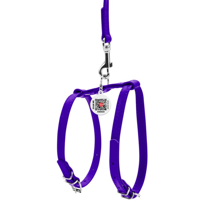 Шлея Collar "WAUDOG GLAMOUR" з повідцем для кішок, дрібних собак, Ш 12мм, фіолетовий
