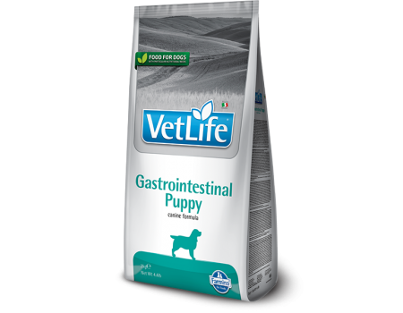 Сухой корм Farmina Vet Life Gastrointestinal Puppy для щенков, при заболевании ЖКТ, (36940) 2 кг