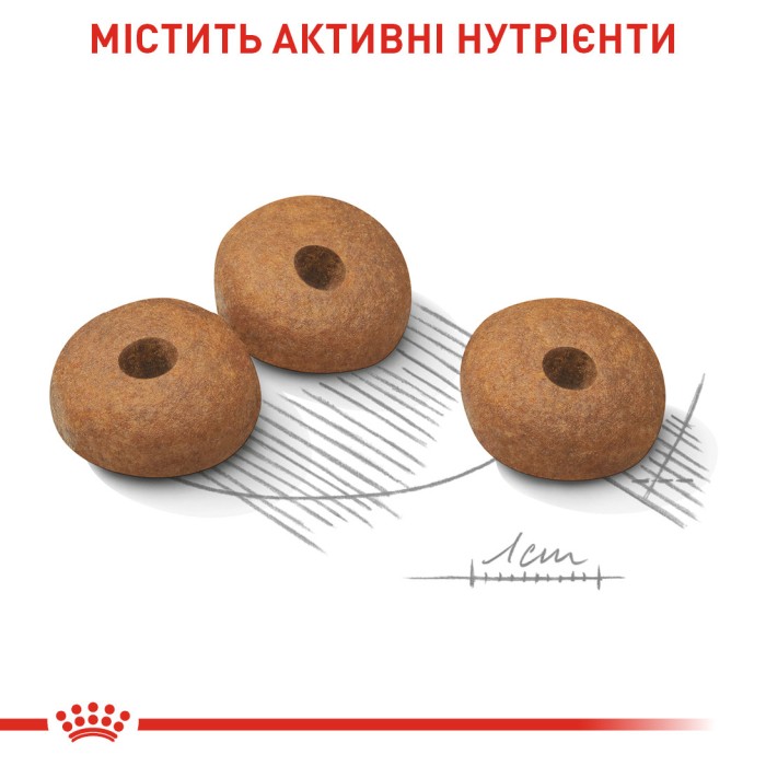 Royal Canin MINI LIGHT WEIGHT CARE  - 2,4кг + 600 г в подарунок