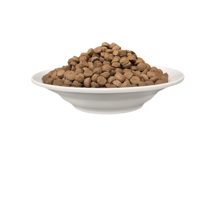 Корм сухой для кошек Cherie, с ЛОСОСЕМ (38/18 – 81%), 2 кг