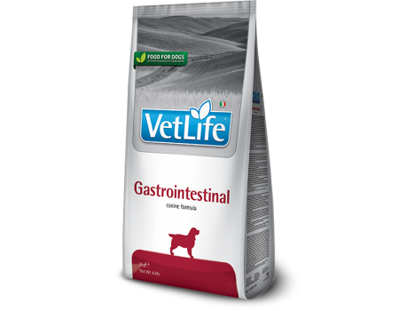 Сухой корм Farmina Vet Life Gastrointestinal для собак, при заболевании ЖКТ, (25289) 2 кг