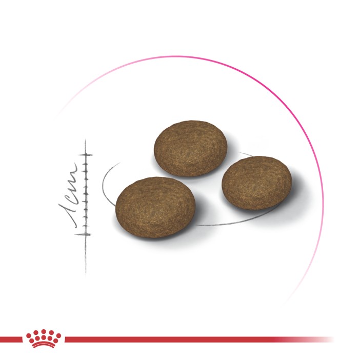 ROYAL CANIN EXIGENT FUSSY 3,2 кг + 800 г в подарунок, для котів з вибагливим апетитом 
