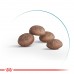 Royal Canin AGEING+11 - 0.4кг  - фото 2