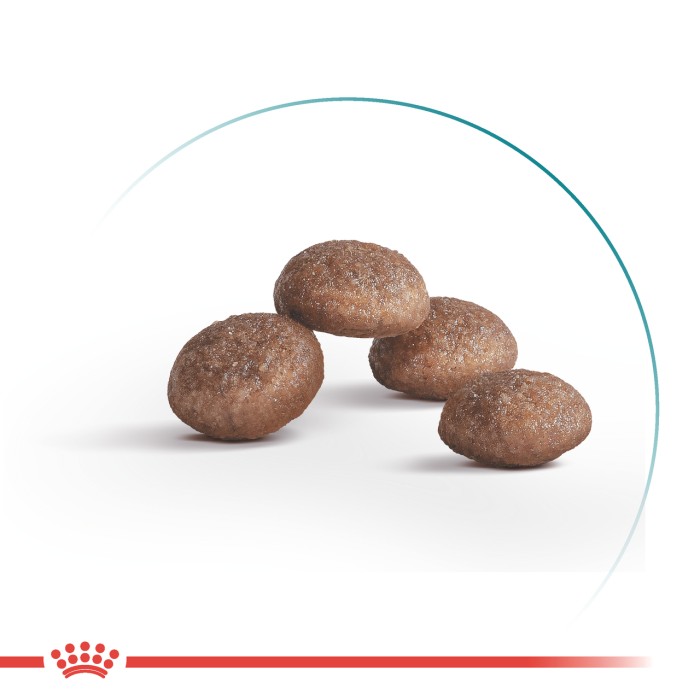 Royal Canin AGEING STERILISED +11 - 0.4кг