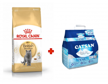 Акція Сухий корм для котів Royal Canin BRITISH SHORTHAIR 4 кг + Наповнювач для туалетів Catsan 5 л