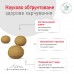 Royal canin GLYCOBALANCE SMALL DOG 1,5 кг  - фото 4