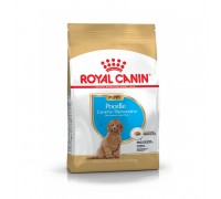 Сухий корм Royal Canin POODLE PUPPY 0,5 кг..