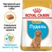 Royal Canin POODLE PUPPY 0,5кг  - фото 2