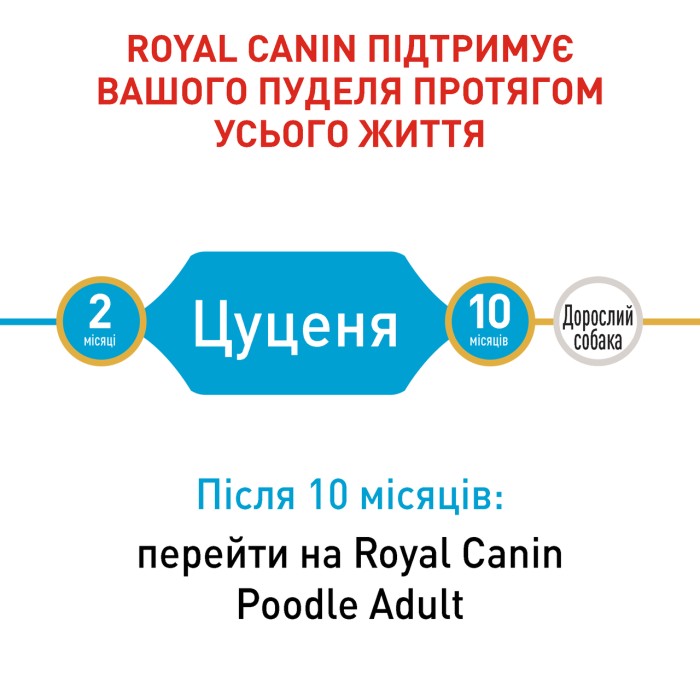 Royal Canin POODLE PUPPY 0,5кг