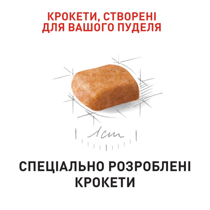 Royal Canin POODLE PUPPY 0,5кг