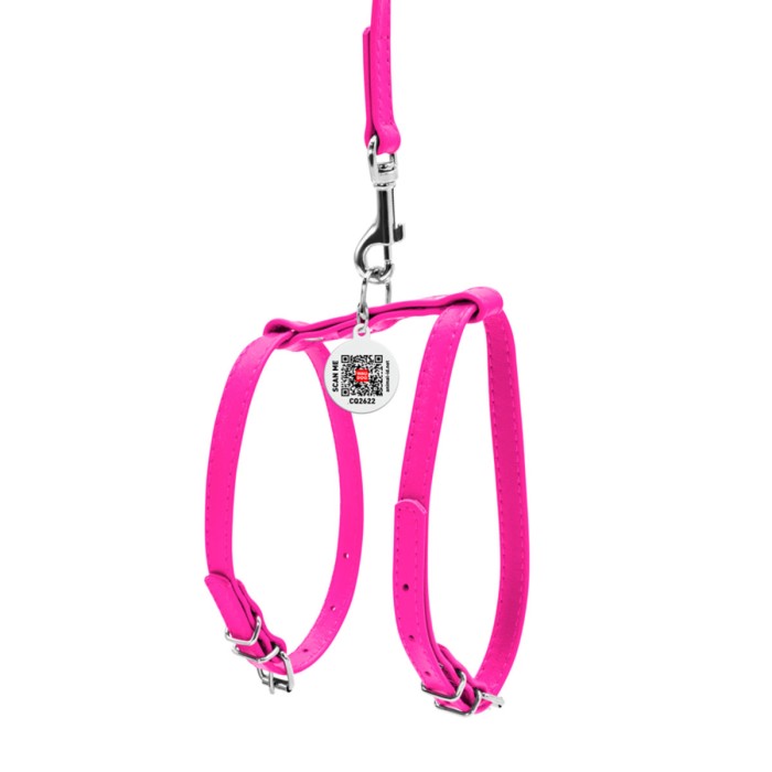 Шлея Collar "WAUDOG GLAMOUR" с поводком для кошек, мелких собак ш 12мм, розовый