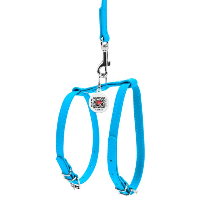 Шлея Collar "WAUDOG GLAMOUR" с поводком для кошек, мелких собак ш 12мм, голубой