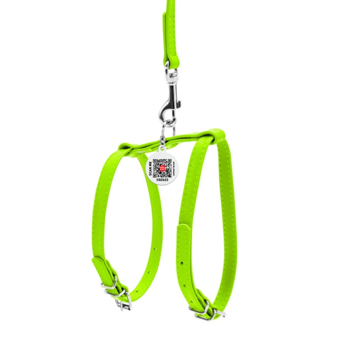 Шлея Collar "WAUDOG GLAMOUR" з повідцем для кішок, дрібних собак, Ш 12мм, салатовий