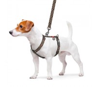 Шлея для собак анатомічна H-подібна WAUDOG Nylon з QR-паспортом, малюн..