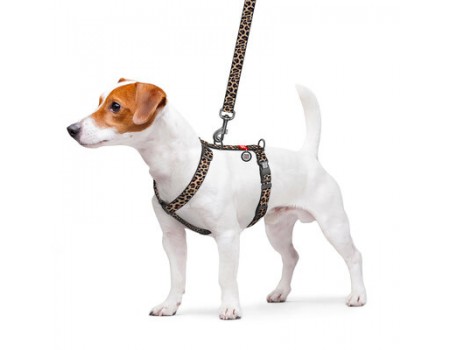 Шлея для собак анатомічна H-подібна WAUDOG Nylon з QR-паспортом, малюнок "Леопард", пластиковий фастекс, M, Ш 20 мм, A 38-60 см, B 46-60 см 