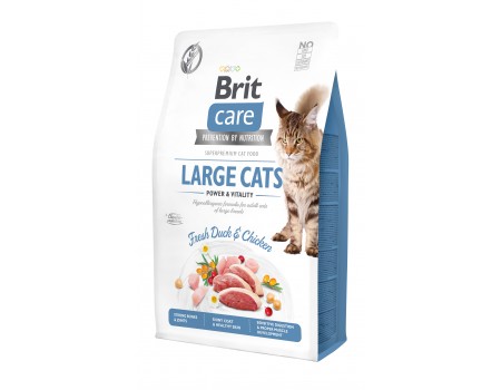 Brit Care Cat GF Large cats Power & Vitality, (для кошек крупных пород)  2 кг