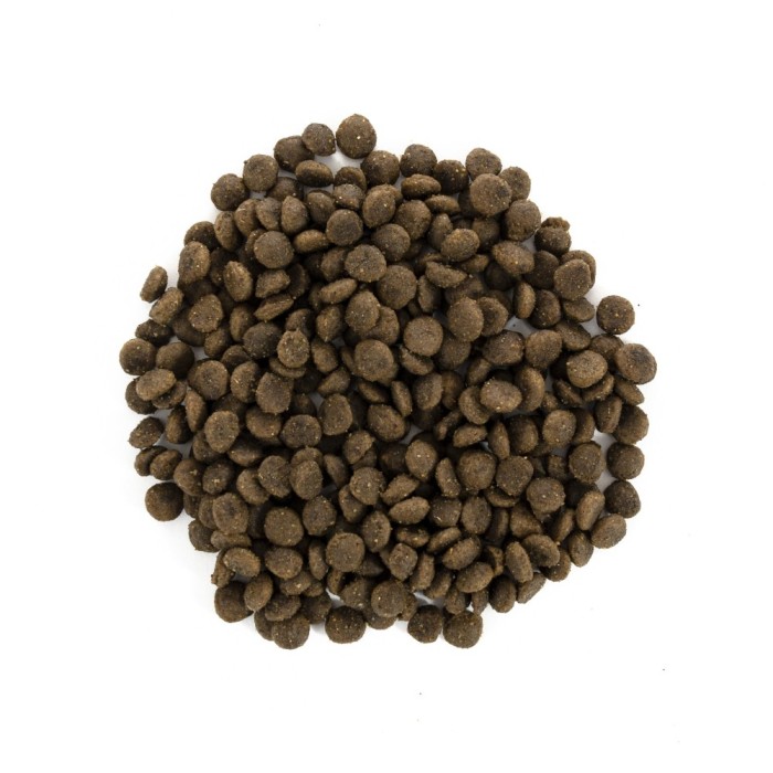 Brit Care Cat GF Large cats Power & Vitality, (для кішок великих порід) 2 кг