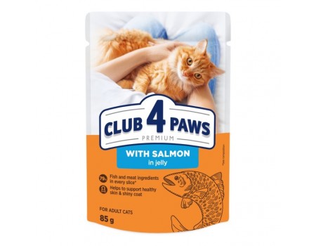 Влажный корм Club 4 Paws (Клуб 4 лапы) Adult Premium для взрослых кошек, с лососем в желе, 85 г