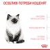 Корм для котят ROYAL CANIN KITTEN 0.4 кг  - фото 4