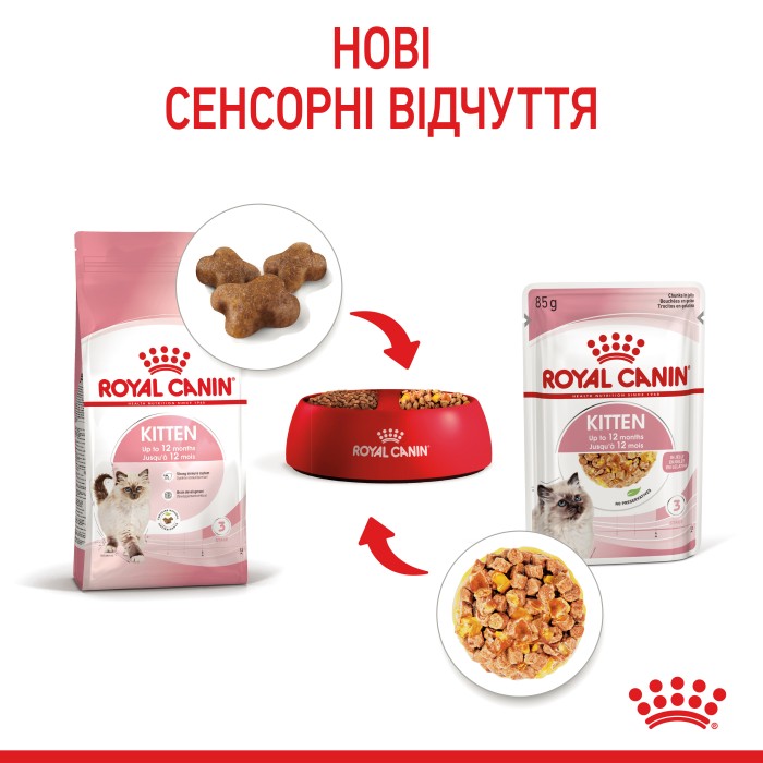 Влажный корм для котят ROYAL CANIN KITTEN IN JELLY 0.085 кг 