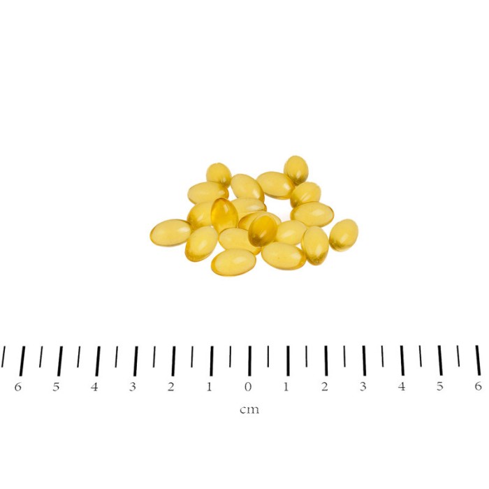 Canina PETVITAL Derm-Caps 40г (100 капс.) для проблемної шкіри та вовни