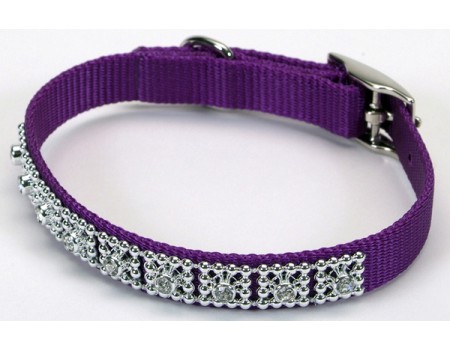 Coastal Jeweled ошейник для собак , пурпурный, 1 см.Х25 см.